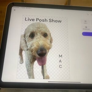 Run Run. Unlisted items